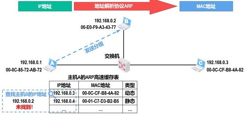计算机网络第四层 网络层技术开发与应用