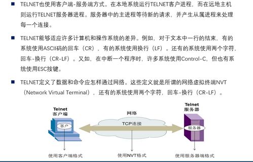 计算机网络原理笔记 精整理 第六章 应用层