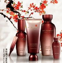 美肤宝化妆品: 加盟店策略与计算机网络技术开发的融合